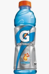 Gatorade Blueberry 600ml